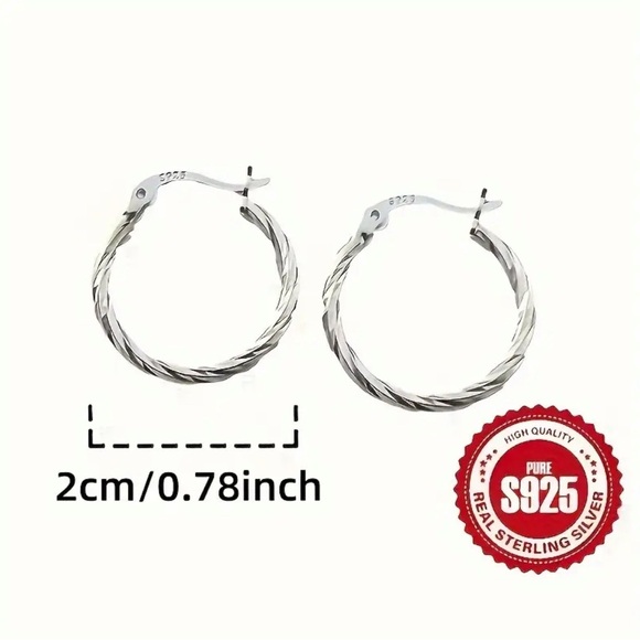Luxurious S925 Silver Geometric Twisted Hoop Earrings - Picture 4 of 4